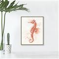 Picture of Coral Seahorse _GroupedProduct_Rectangle_Portrait_Canvas_Framed_