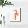 Picture of Coral Seahorse _GroupedProduct_Rectangle_Portrait_Canvas_Framed_