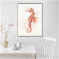 Picture of Coral Seahorse _GroupedProduct_Rectangle_Portrait_Canvas_Framed_