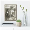 Picture of Brown & White Flower II _GroupedProduct_Rectangle_Portrait_Canvas_Framed_