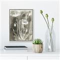 Picture of Brown & White Flower II _GroupedProduct_Rectangle_Portrait_Canvas_Framed_