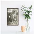 Picture of Brown & White Flower II _GroupedProduct_Rectangle_Portrait_Canvas_Framed_