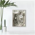 Picture of Brown & White Flower II _GroupedProduct_Rectangle_Portrait_Canvas_Framed_