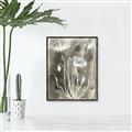 Picture of Brown & White Flower II _GroupedProduct_Rectangle_Portrait_Canvas_Framed_