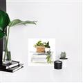 Picture of Flower Pot On Books _GroupedProduct_Square_Unframed_Print_Only_