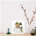 Picture of Flower Pot On Books _GroupedProduct_Square_Unframed_Print_Only_