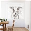 Picture of Frontal Cow Portrait _GroupedProduct_Square_Unframed_Print_Only_