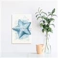 Picture of Teal Starfish _GroupedProduct_Rectangle_Portrait_Unframed_Print_Only_