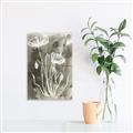 Picture of Brown & White Flower II _GroupedProduct_Rectangle_Portrait_Unframed_Print_Only_