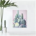 Picture of Pink Cactus _GroupedProduct_Rectangle_Portrait_Unframed_Print_Only_