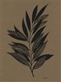 Picture of Silhouette Leaves _GroupedProduct_Rectangle_Portrait_Unframed_Print_Only_