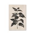 Picture of Black Linen Leaves II _GroupedProduct_Rectangle_Portrait_Canvas_