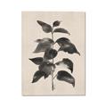Picture of Black Linen Leaves II _GroupedProduct_Rectangle_Portrait_Canvas_
