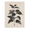 Picture of Black Linen Leaves II _GroupedProduct_Rectangle_Portrait_Canvas_