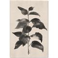 Picture of Black Linen Leaves II _GroupedProduct_Rectangle_Portrait_Canvas_