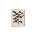 Picture of Black Linen Leaves IV _GroupedProduct_Rectangle_Portrait_Canvas_