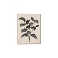 Picture of Black Linen Leaves IV _GroupedProduct_Rectangle_Portrait_Canvas_