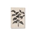 Picture of Black Linen Leaves IV _GroupedProduct_Rectangle_Portrait_Canvas_