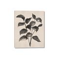 Picture of Black Linen Leaves IV _GroupedProduct_Rectangle_Portrait_Canvas_