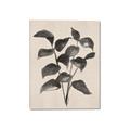 Picture of Black Linen Leaves IV _GroupedProduct_Rectangle_Portrait_Canvas_