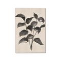 Picture of Black Linen Leaves IV _GroupedProduct_Rectangle_Portrait_Canvas_