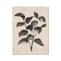 Picture of Black Linen Leaves IV _GroupedProduct_Rectangle_Portrait_Canvas_