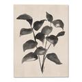 Picture of Black Linen Leaves IV _GroupedProduct_Rectangle_Portrait_Canvas_
