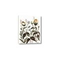 Picture of Rusty Flower II _GroupedProduct_Rectangle_Portrait_Canvas_