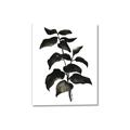Picture of Black Leaves II _GroupedProduct_Rectangle_Portrait_Canvas_