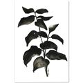 Picture of Black Leaves II _GroupedProduct_Rectangle_Portrait_Canvas_