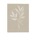 Picture of Neutral Plant VIII _GroupedProduct_Rectangle_Portrait_Canvas_