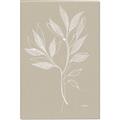 Picture of Neutral Plant VIII _GroupedProduct_Rectangle_Portrait_Canvas_