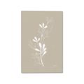 Picture of Neutral Plant V _GroupedProduct_Rectangle_Portrait_Canvas_