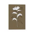 Picture of Neutral Plant  IV _GroupedProduct_Rectangle_Portrait_Canvas_