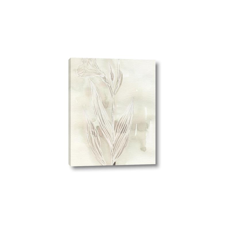 Picture of Transparent Tulip I _GroupedProduct_Rectangle_Portrait_Canvas_