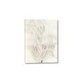 Picture of Transparent Tulip I _GroupedProduct_Rectangle_Portrait_Canvas_