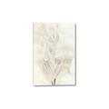 Picture of Transparent Tulip I _GroupedProduct_Rectangle_Portrait_Canvas_