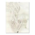 Picture of Transparent Tulip I _GroupedProduct_Rectangle_Portrait_Canvas_