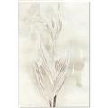 Picture of Transparent Tulip I _GroupedProduct_Rectangle_Portrait_Canvas_