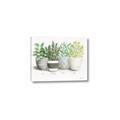Picture of Pots With Flower _GroupedProduct_Rectangle_Landscape_Canvas_