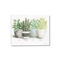 Picture of Pots With Flower _GroupedProduct_Rectangle_Landscape_Canvas_