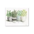 Picture of Pots With Flower _GroupedProduct_Rectangle_Landscape_Canvas_