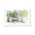 Picture of Pots With Flower _GroupedProduct_Rectangle_Landscape_Canvas_