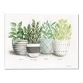Picture of Pots With Flower _GroupedProduct_Rectangle_Landscape_Canvas_