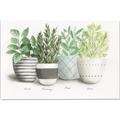 Picture of Pots With Flower _GroupedProduct_Rectangle_Landscape_Canvas_