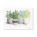 Picture of Pots With Flower _GroupedProduct_Rectangle_Landscape_Canvas_