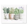 Picture of Pots With Flower I _GroupedProduct_Rectangle_Landscape_Canvas_