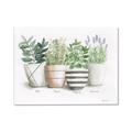 Picture of Pots With Flower I _GroupedProduct_Rectangle_Landscape_Canvas_