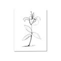 Picture of Single Flower VIII _GroupedProduct_Rectangle_Portrait_Canvas_