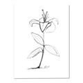 Picture of Single Flower VIII _GroupedProduct_Rectangle_Portrait_Canvas_